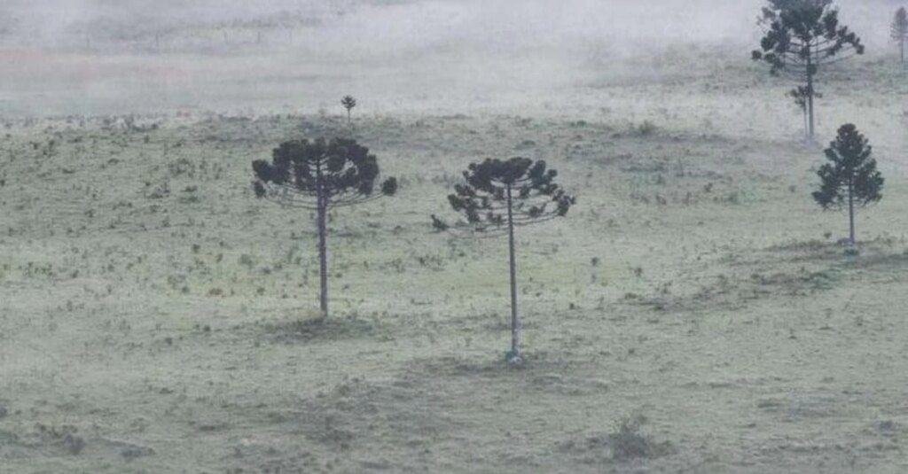 El Niño se despede, La Niña aparece. 5 El Niño dá sinais de despedida, mas La Niña já entra no radar