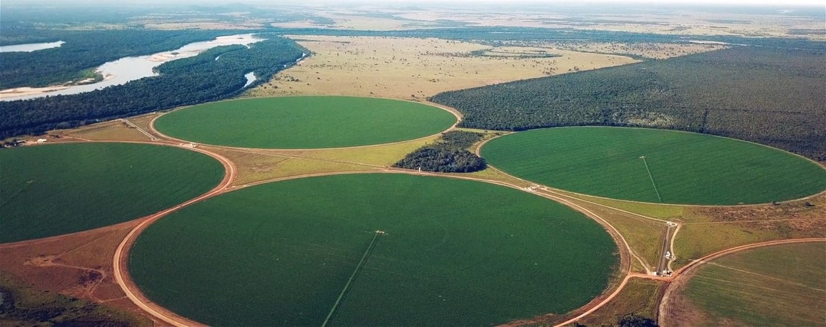 Elisa Agro obtém recuperação judicial	.
