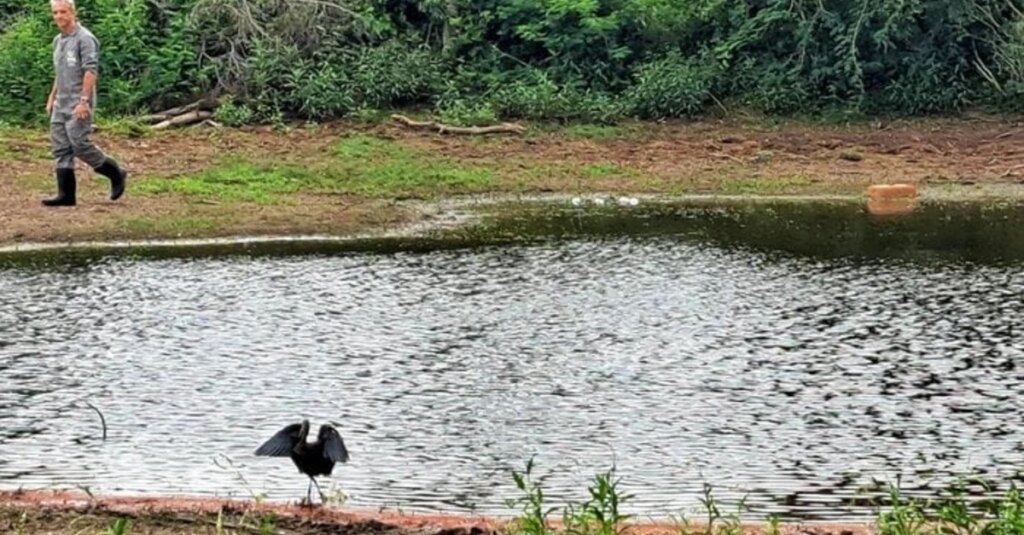 Embargos aceleram após surto de influenza 17 Tentativas contra embargos aceleram após casos de influenza