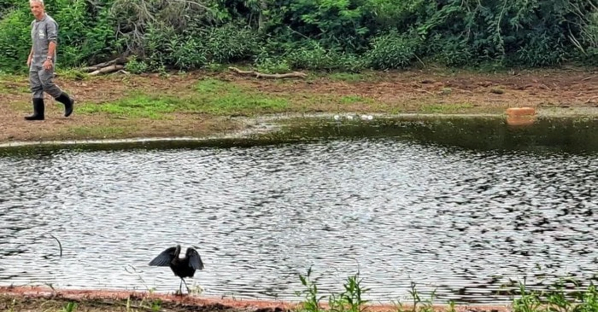 Tentativas contra embargos aceleram após casos de influenza
