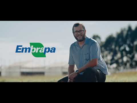 embrapa 50 anos espanhol 1