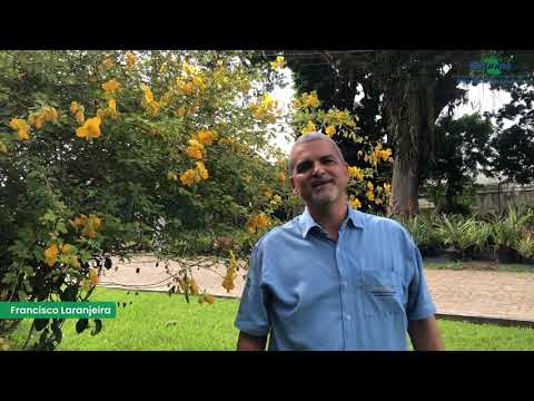 Embrapa Mandioca e Fruticultura agradece pelo BananaFIT