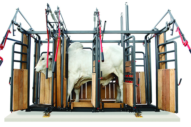 Empresa expande atuação global