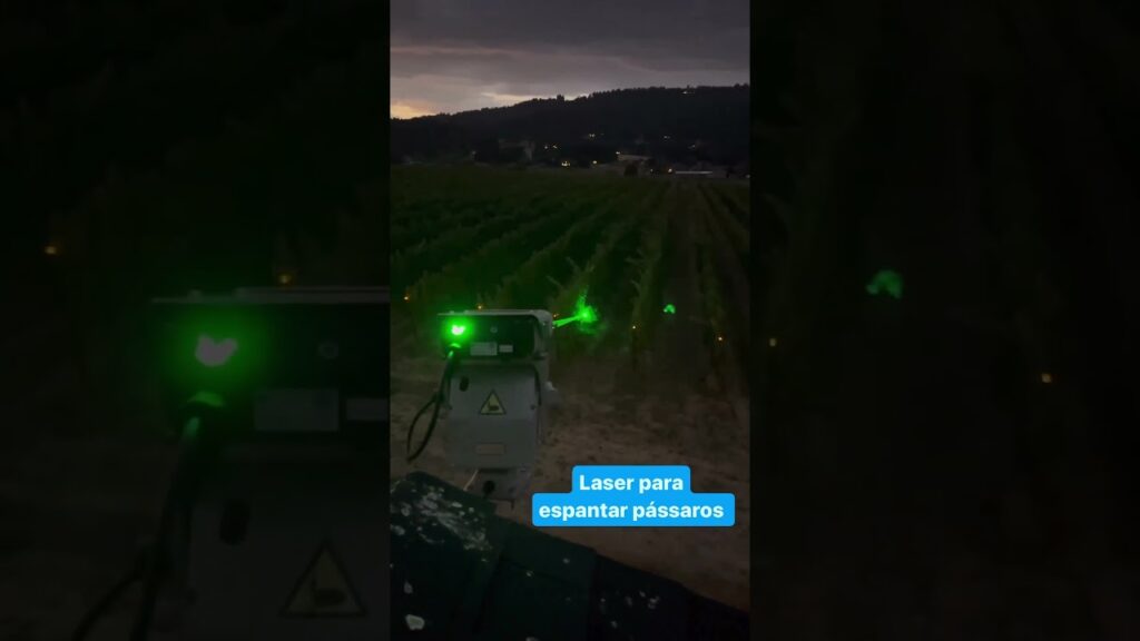 espantador de passaros solucao agricola eficaz f09fa69cf09f8cbd agro