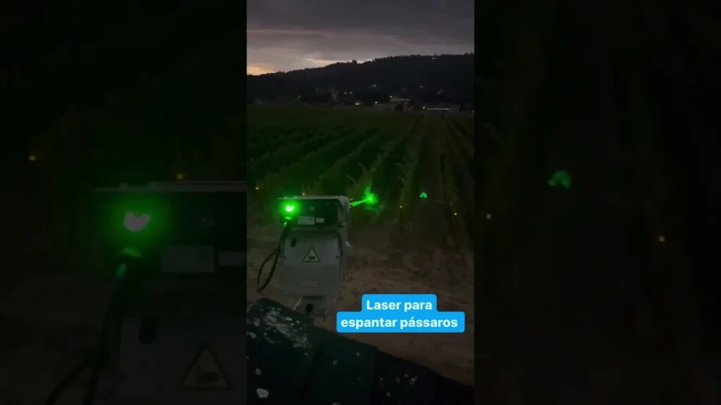 "Espantador de pássaros: solução agrícola eficaz" 🦜🌽 #agro 10 espantador de passaros solucao agricola eficaz f09fa69cf09f8cbd agro