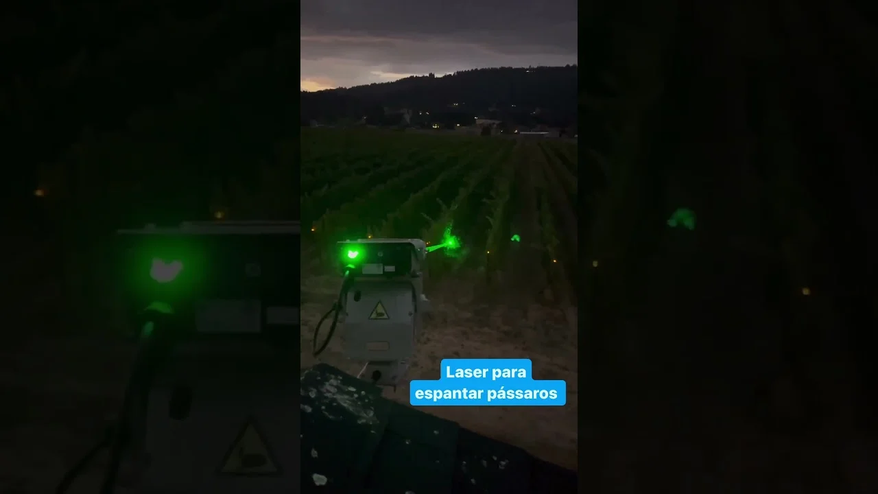 espantador de passaros solucao agricola eficaz f09fa69cf09f8cbd agro