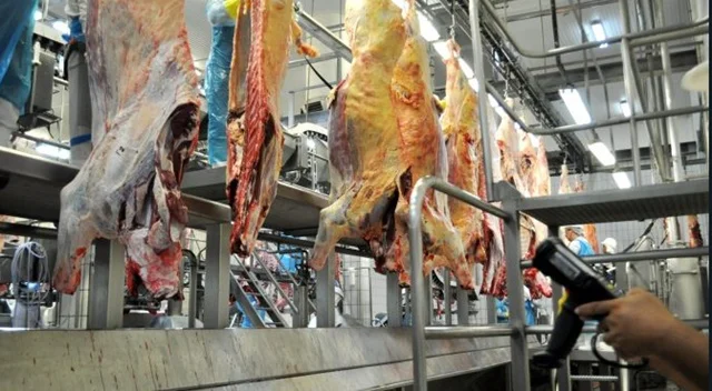 Expansão do mercado externo em MS: o que isso significa?