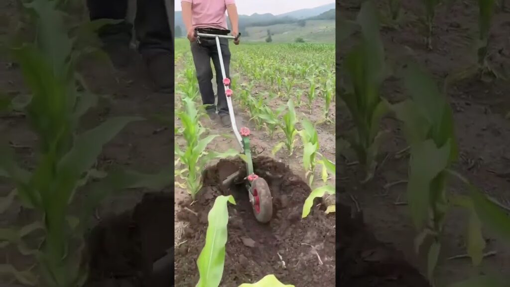 explorando ferramentas agricolas f09f8cb1 agronomia agricultura