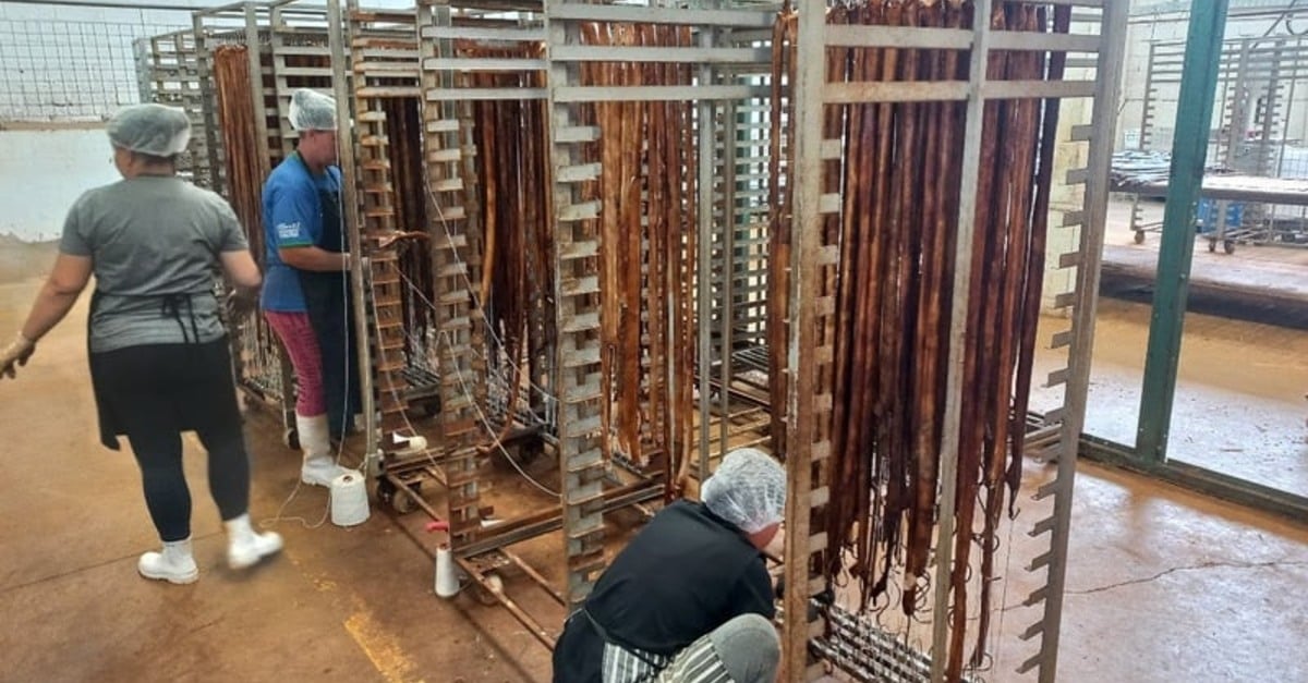 Fábrica clandestina de petiscos em SP: o que escondem?