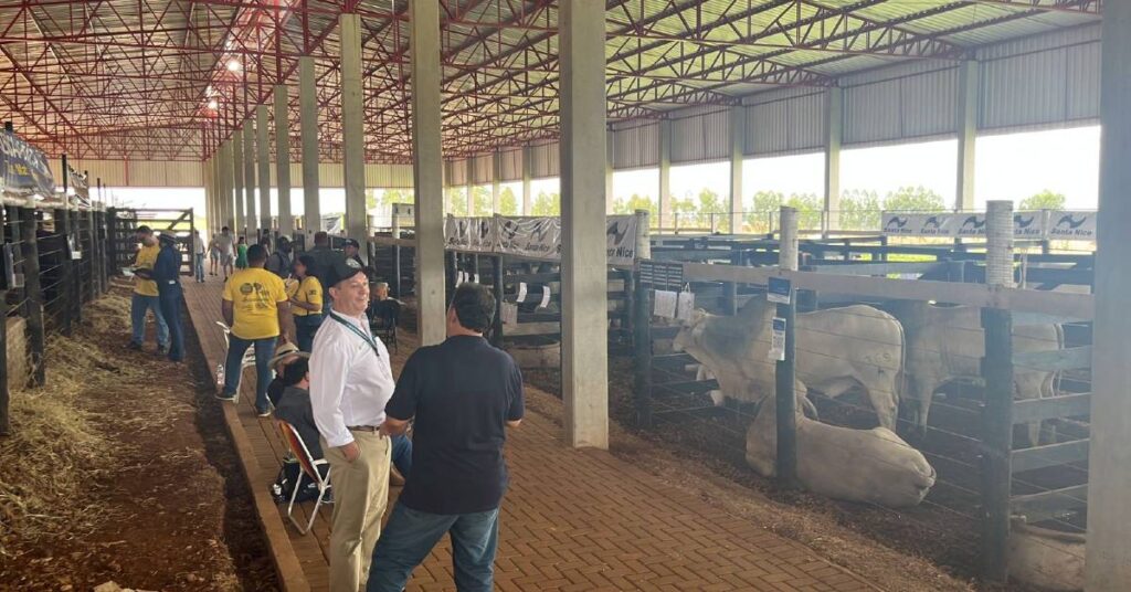 Show Rural Coopavel recebeu a primeira Feira de Touros Pró-Genética do ano • Portal DBO
