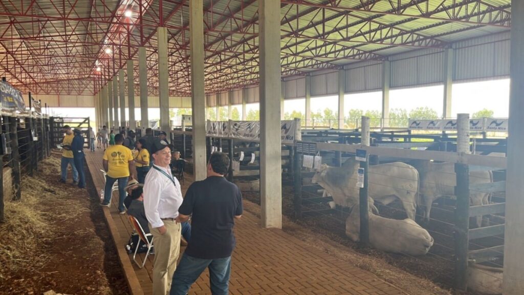 Sucesso da primeira Feira de Touros Pró-Genética do ano evidencia força da pecuária zebuína – O Presente Rural