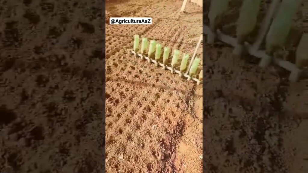 ferramenta de semear revolucao na agricultura agro semeadura