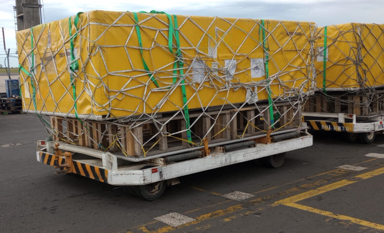 “Fiscalização de embalagens para Fórmula E em SP” – Ministério da Agricultura e Pecuária