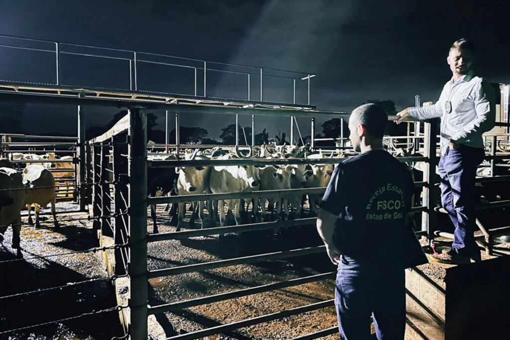 Fiscalização em frigoríficos de Goiás intrigante! 8 Operação Boi Gordo fiscaliza frigoríficos em todas as regiões de Goiás