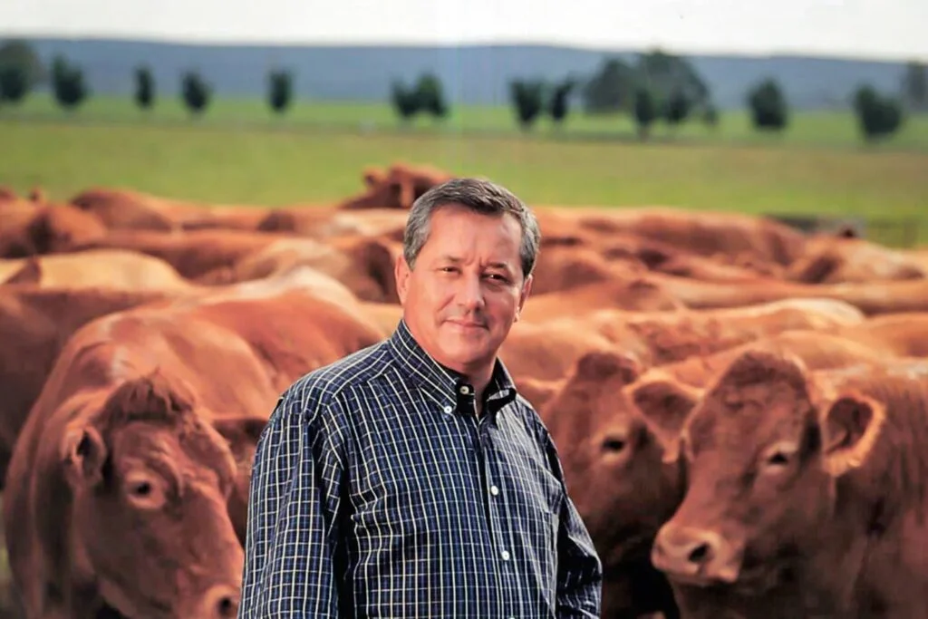 Fraude do "Boi Gordo": 30 mil investidores perderam bilhões 11 Fraude do "Boi Gordo": Como 30 mil investidores perderam bilhões de reais