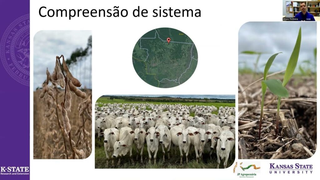 fundamentos do sistema pontal