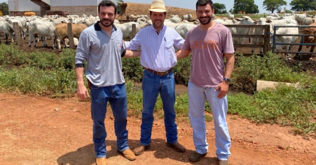 Gado e fazenda: segredos mineiros revelados! 21 Mineiro mostra o que faz de melhor com o gado na sua fazenda!