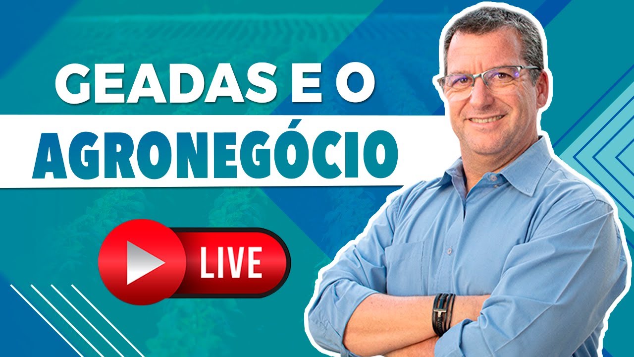 geadas impacto no agronegocio