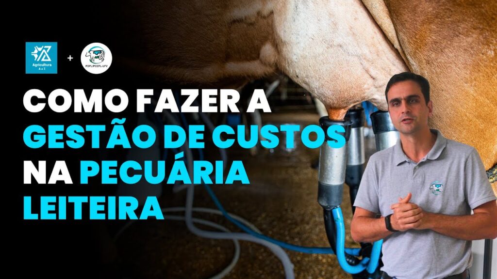 gestao de custos na pecuaria leiteira