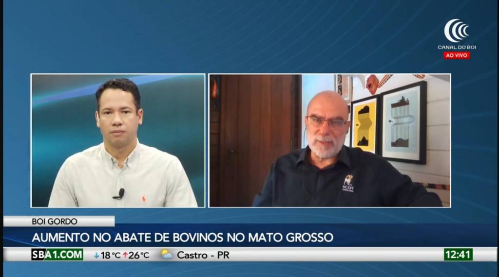 Grande oferta de bovinos pressiona ainda mais os preços do boi gordo - SBA1