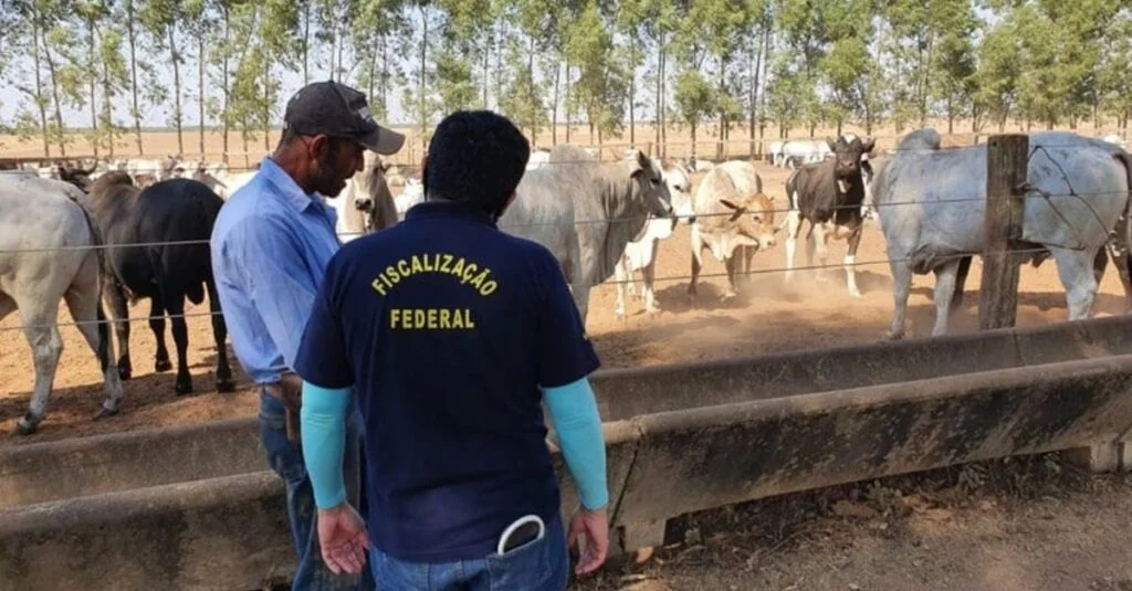 Greve de auditores agropecuários: impacto na produção de carnes. 13 Greve de auditores agropecuários pode afetar produção de carnes, diz especialista