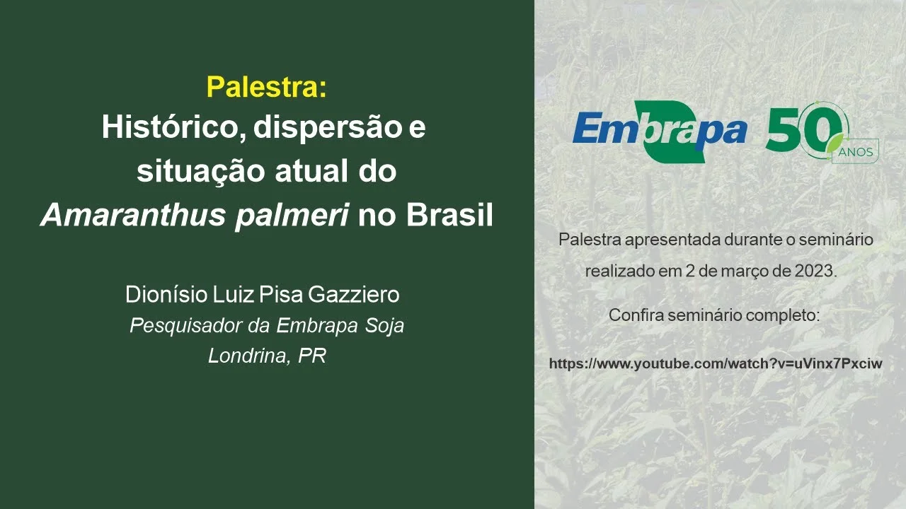 Histórico, dispersão e situação atual do Amaranthus palmeri no Brasil 2 historico dispersao e situacao atual do amaranthus palmeri no brasil