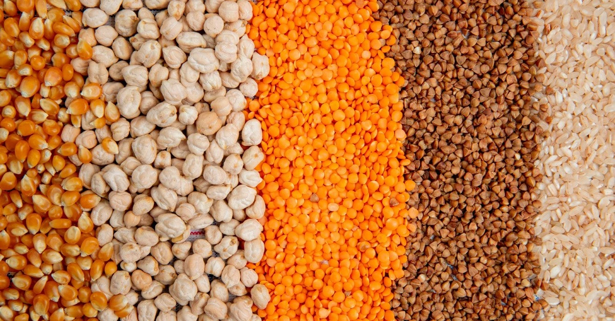 IBGE prevê safra 3,8% menor em 2024. 7 Estimativa de janeiro do IBGE aponta safra 3,8% menor em 2024