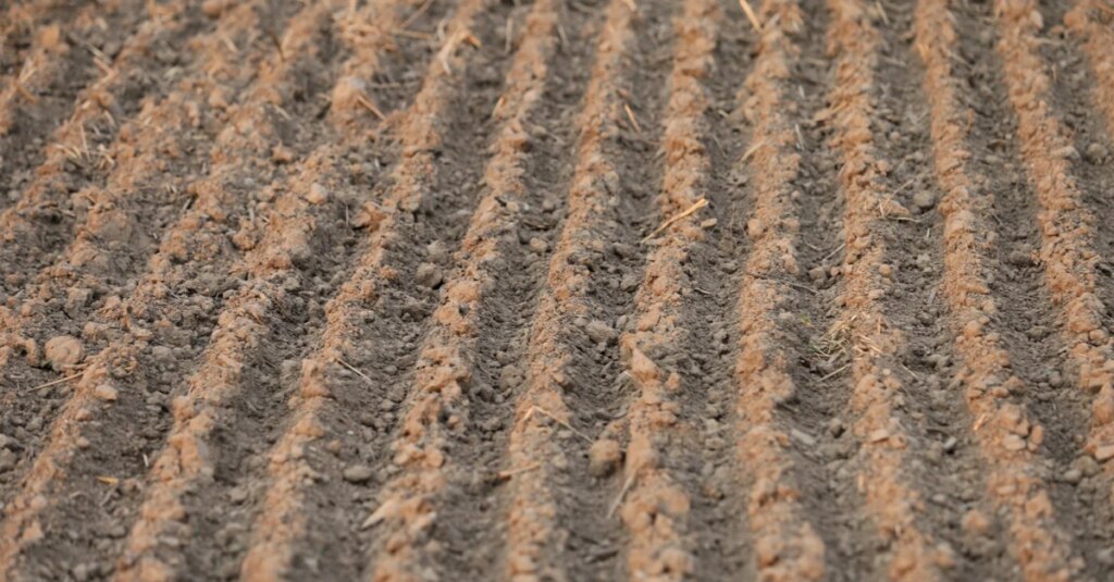 IDR Paraná revela segredos do manejo de solos 27 IDR Paraná irá abordar manejo de solos no Show Rural