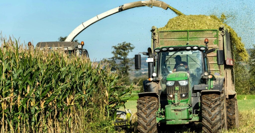 Imea aponta safra de milho 5,55% mais cara em 24/25