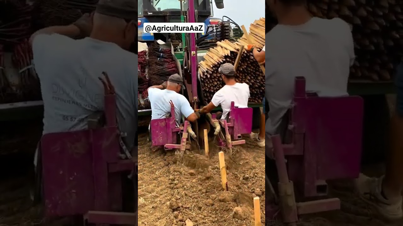 “Inovação na Agricultura: Máquina de Plantio” #agro #agricultura #plantio