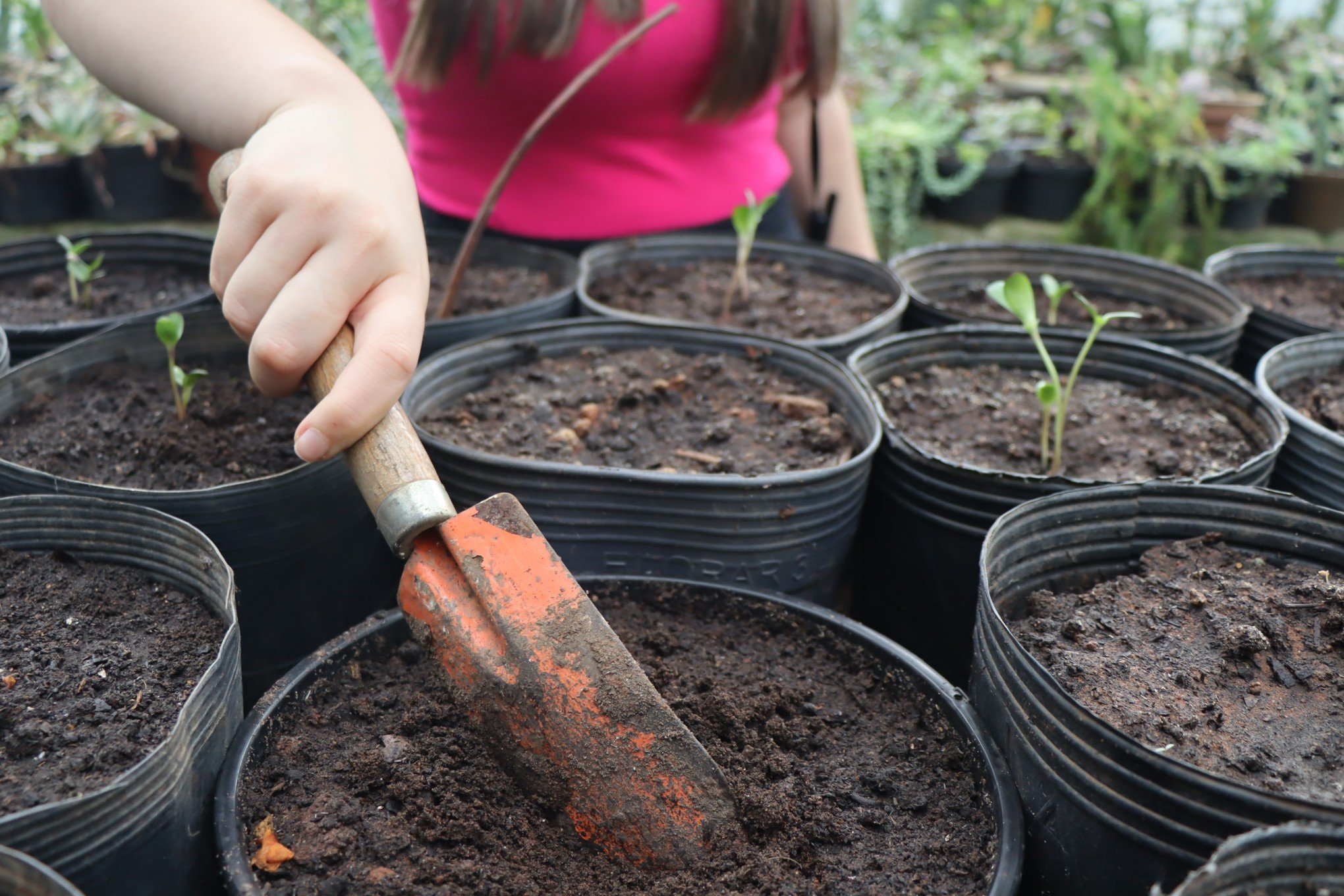 Instituto Ivoti revela novo curso agrícola
