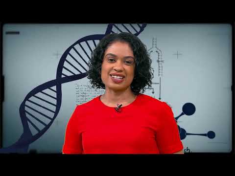 inteligencia artificial torna mais preciso mapeamento do cerrado