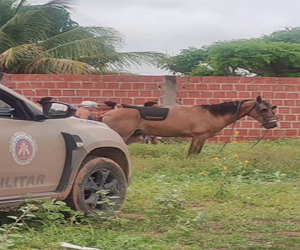 Jovem assassinado montado a cavalo- Juazeiro (BA) 1 Jovem assassinado montado a cavalo- Juazeiro (BA)
