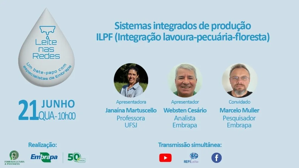 Leite nas Redes – Sistemas integrados de produção – ILPF (Integração lavoura-pecuária-floresta) 2 leite nas redes sistemas integrados de producao ilpf integracao lavoura pecuaria floresta