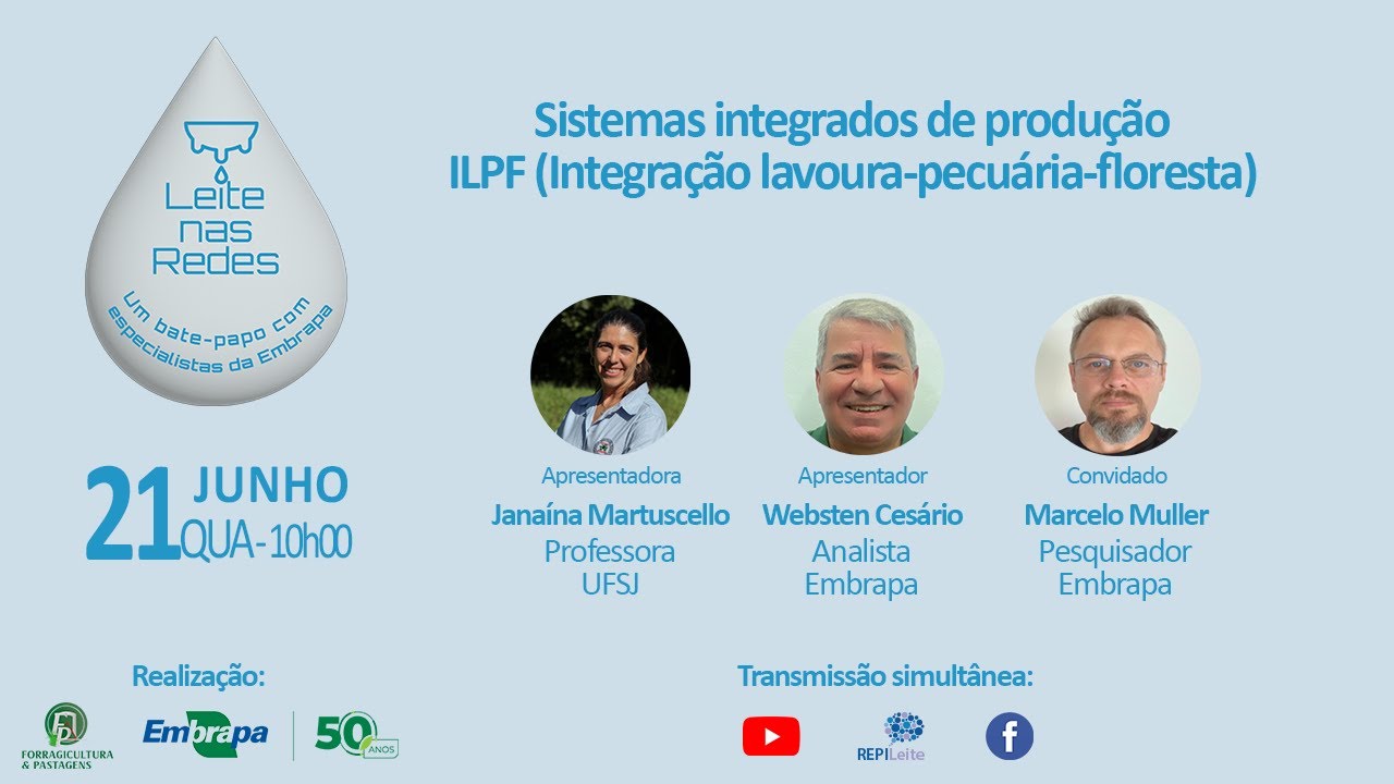 leite nas redes sistemas integrados de producao ilpf integracao lavoura pecuaria floresta