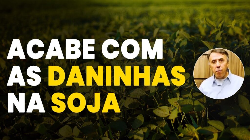 Manejo eficiente de plantas daninhas na soja 1 manejo eficiente de plantas daninhas na soja