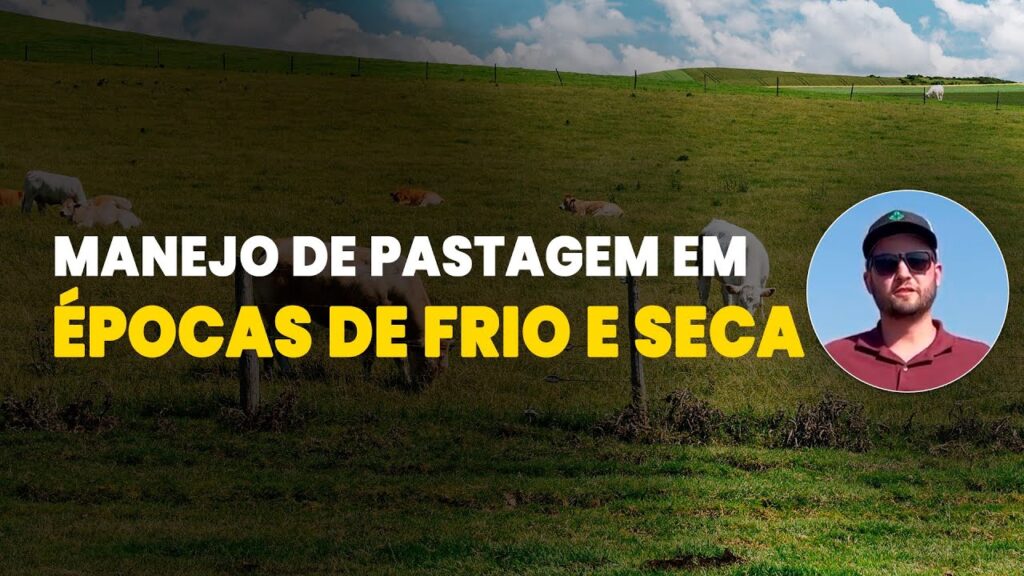 maximizando a pastagem no frio e seca