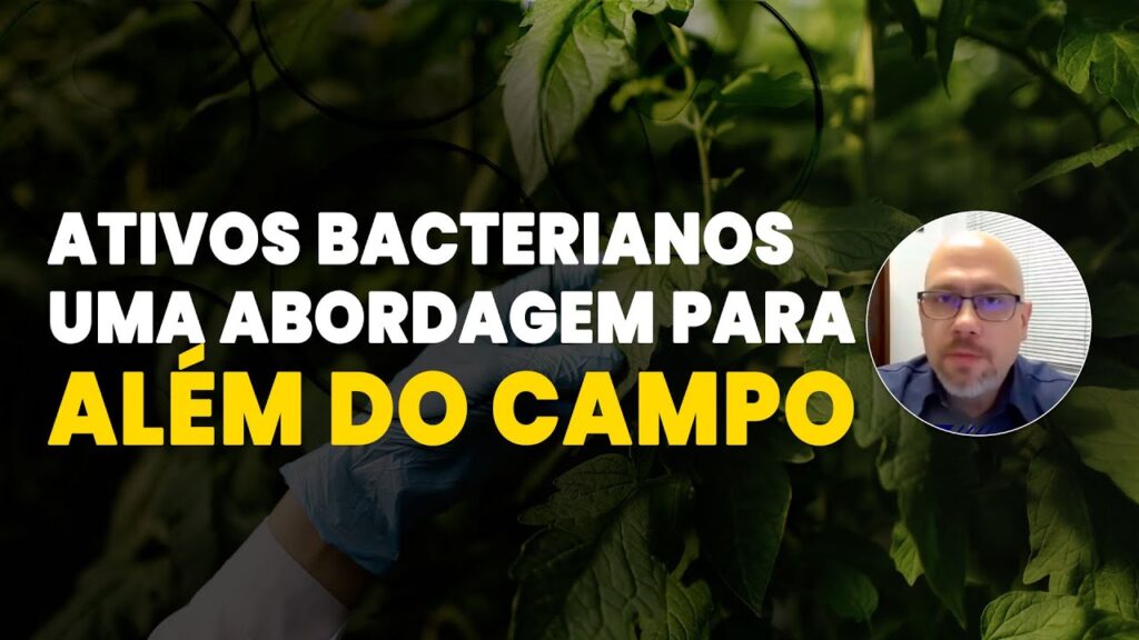 maximize a produtividade com bacterias na lavoura