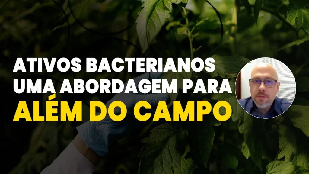maximize a produtividade com bacterias na lavoura