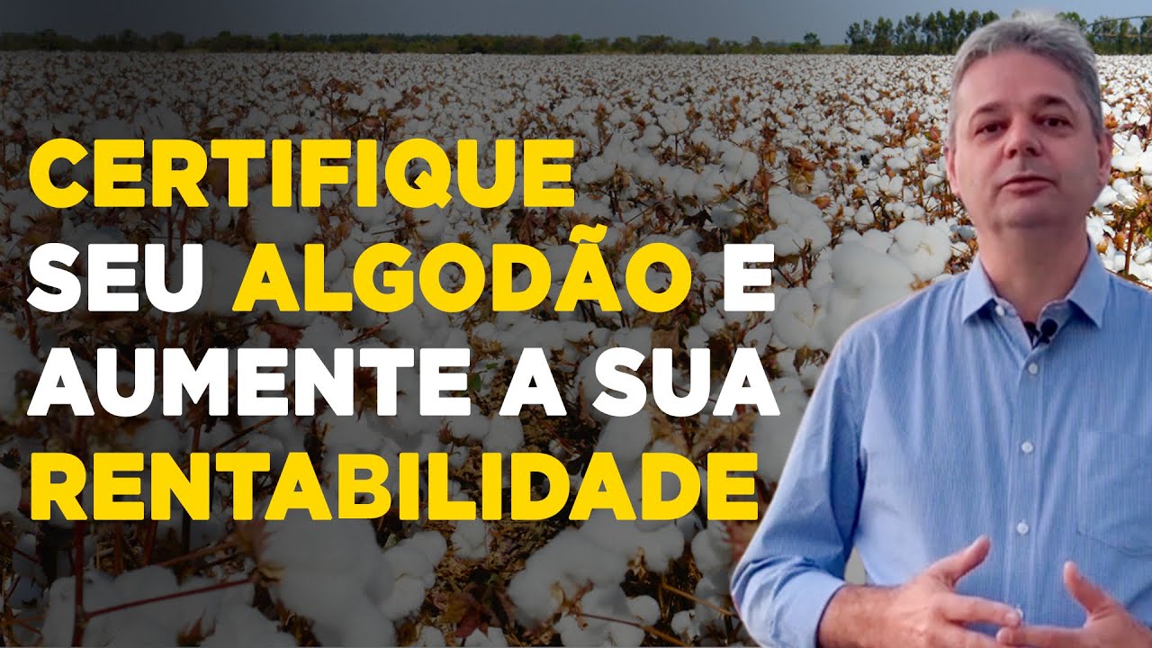 Maximize sua Renda com Algodão Certificado 1 Maximize sua Renda com Algodão Certificado