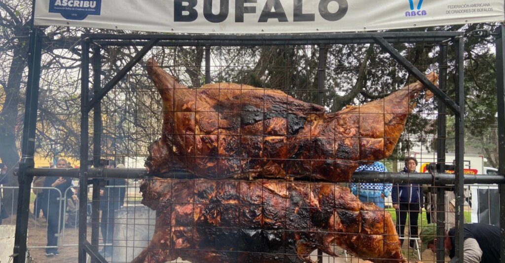 Meia tonelada de carne de búfalo assada será destaque em feira