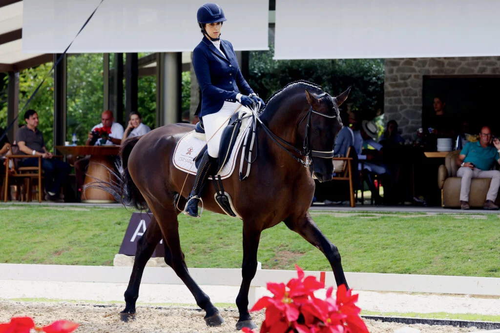 Modalidade do hipismo restrita a poucos começa a ganhar espaço no Brasil