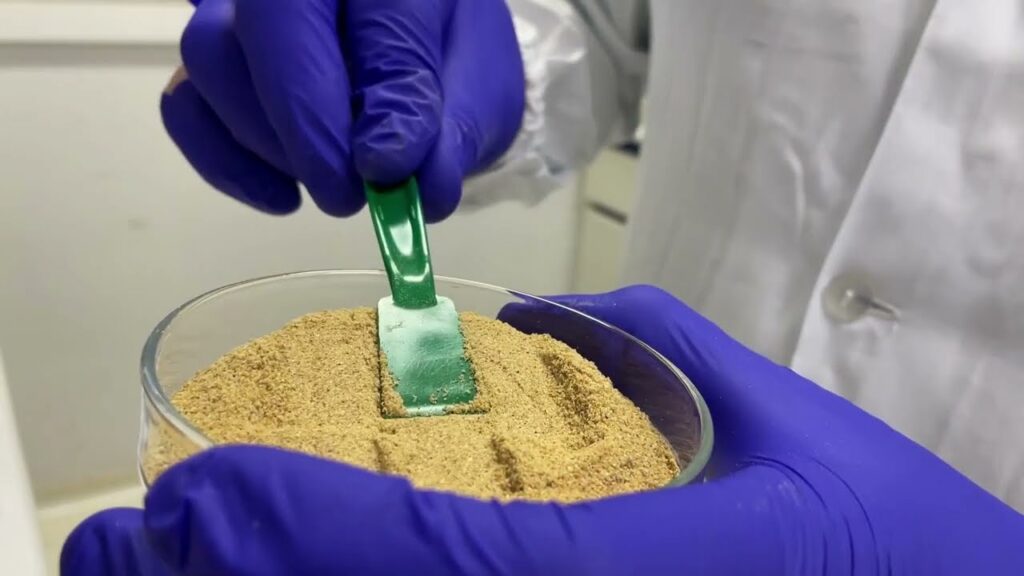 modelos de calibracao para analise de qualidade nutricional de racao de peixe