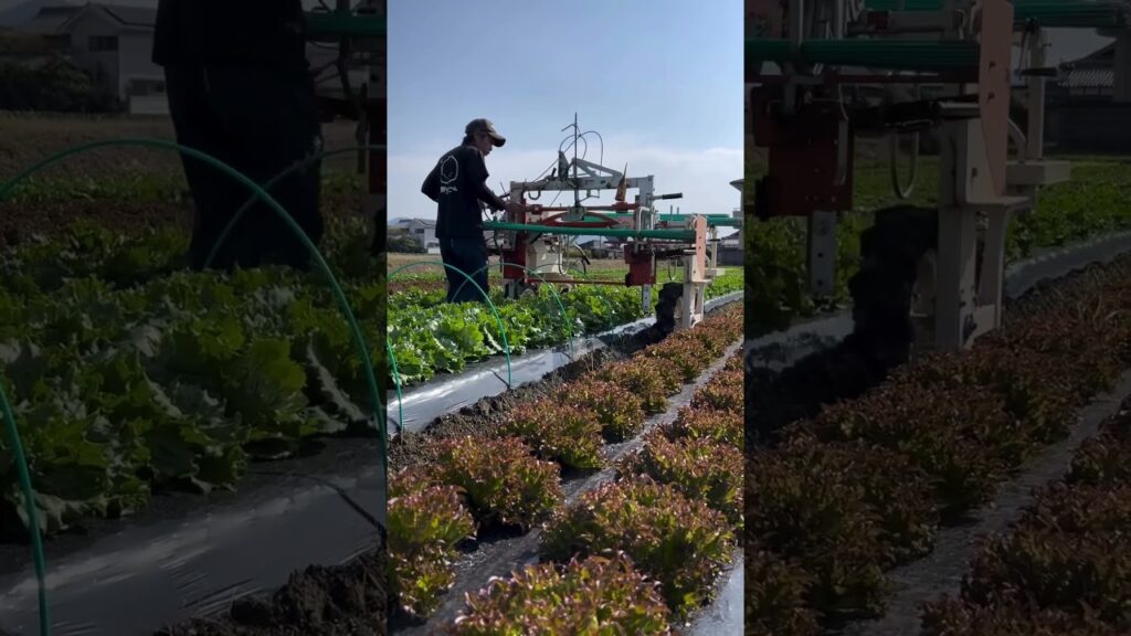 montagem de estruturas maquinas na agricultura f09f9a9cf09fa5ac agro agricultura