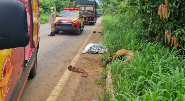 Morte trágica: Garoto de 11 anos em acidente com cavalo.
