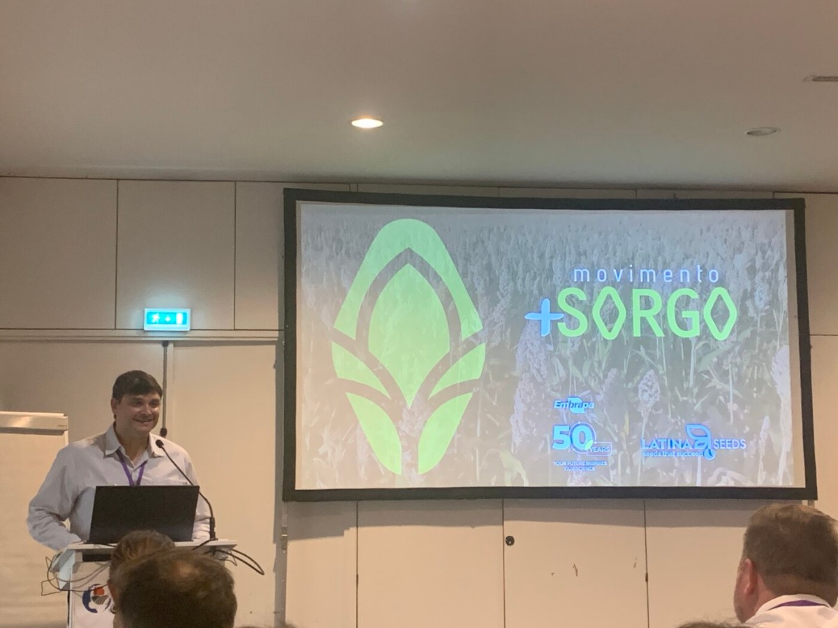 Movimento + Sorgo: adesão na Europa!