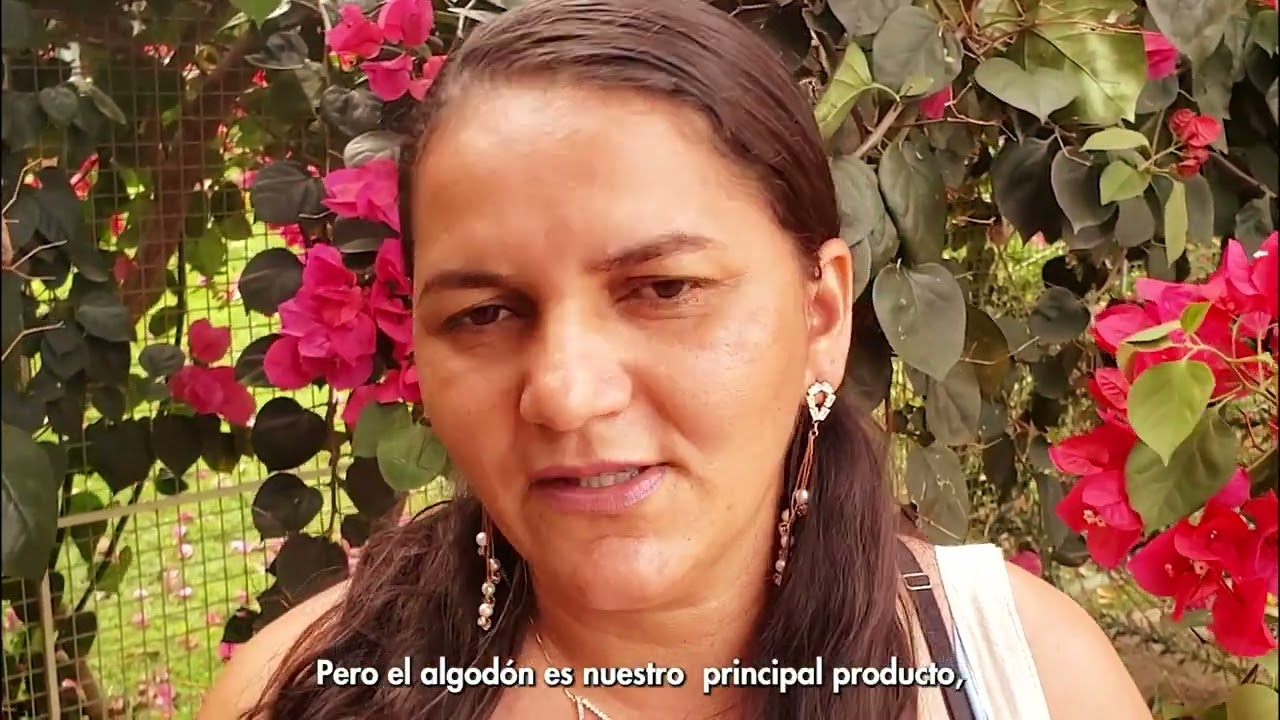 mulheres rurais do brasil legendas em esspanhol