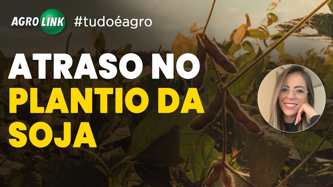 Notícias do Agro: Movimentações do Dia