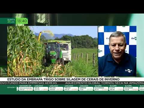 Novas descobertas na silagem de cereais.