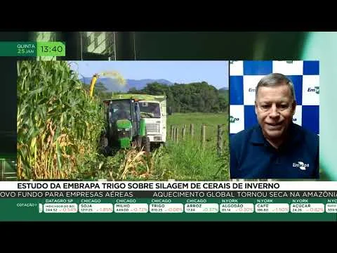 Novas descobertas na silagem de cereais. 16 ESTUDO DA EMBRAPA TRIGO SOBRE SILAGEM DE CEREAIS DE INVERNO